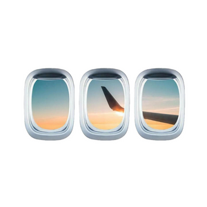 Hobbs Flyer Airplane Window Seat View Wall Decal